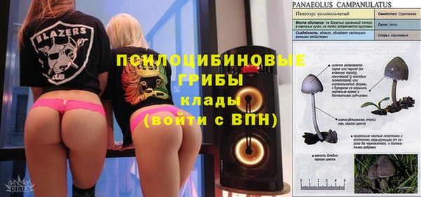 экстази Алексин