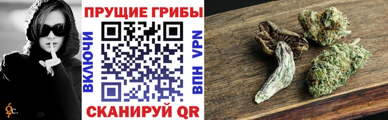 наркотики Нижняя Салда Псилоцибиновые грибы Psilocybe